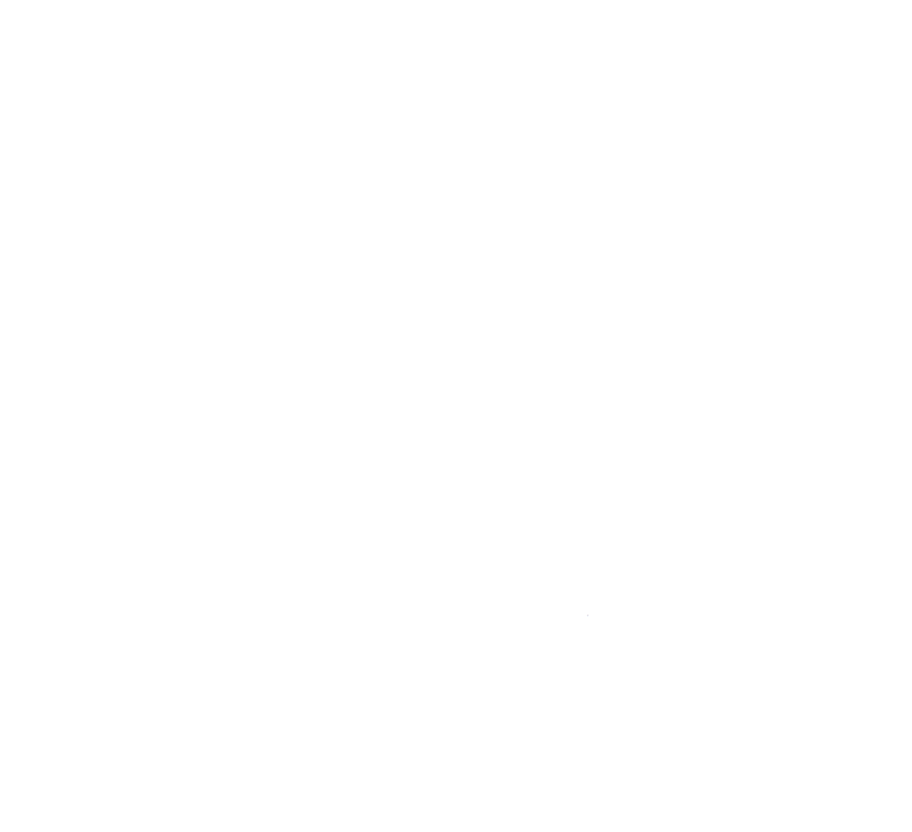 Branch Services Ltd